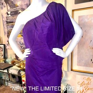 Stunning purple dress from The Limited